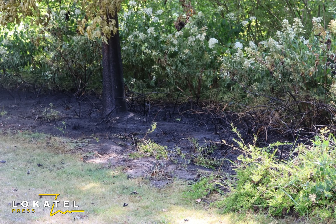 Bermbrand snel geblust in Vermeerkwartier
